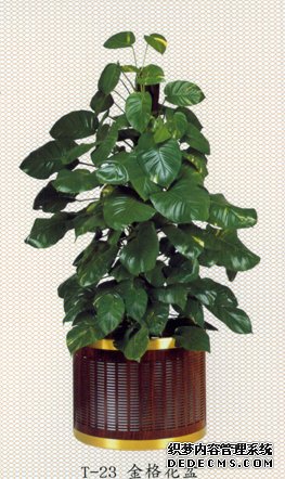 �Ƶ�ߵ�С�������